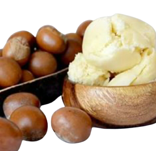 Organic Shea Butter